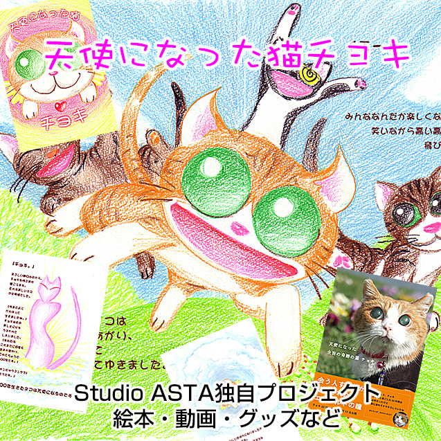 天使になった猫チョキ